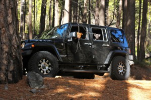Jeep Wrangler Rubicon Total Loss Appraisal